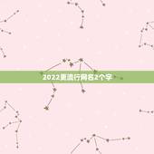 2022更流行网名2个字，2023两字的网名