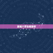 属相八字合婚算命，怎样用八字合婚？