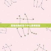 属兔和属蛇生个什么属相宝宝，属兔的和属蛇的生个虎宝宝好不好？