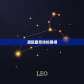 属鼠最忌讳的属相，属鼠的和什么属相不能共事
