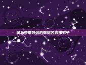 属马带来好运的微信名吉祥财子，1990年属马什么微信名