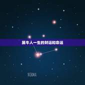 属牛人一生的财运和命运，属牛人的命数和财运
