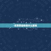 吃草的动物是什么属相，吃草的动物打一生肖