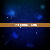 十二生肖的鼠配什么属相，属鼠和什么属相相最配