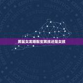 男鼠女龙婚配生男孩还是女孩，男属鼠女属龙适合要什么属相宝宝