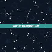 农历1971年属相是什么命，1971年属猪人是什么命