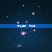 78年男马一生运势，1990年男马一生命运