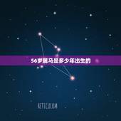 56岁属马是多少年出生的，56岁属马什么命