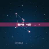 射手座11运势，射手座2011运势