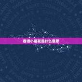 香谱小莲花是什么意思，今早我烧香，第一组是莲花香，第二组也是莲花香，怎