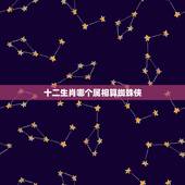 十二生肖哪个属相算蜘蛛侠，十二生肖中什么动物称为蜘蛛侠？