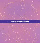 两耳长四脚短什么属相，十二生肖有什么来历？
