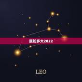 属蛇多大2022，生肖蛇2022年运势大全
