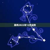 属鸡2022年12月运势，81属鸡女阴历12月29生在2023年最后一