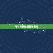 马与黄鼠狼属相婚配吗，黄猺与黄鼠狼是同一种动物吗