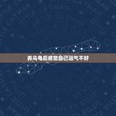 养乌龟后感觉自己运气不好，养了两只乌龟死了运气会很差吗