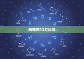 属蛇的12月运势，属蛇人2021年每月运势运程每月