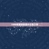 1998年属虎的是什么命八字，1998属虎城墙土命运女