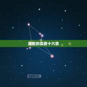 属蛇的买房十六忌，属蛇的婚配宜忌