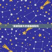 属猪和属牛的婚姻相配吗，属猪的人今年的婚姻状况怎样