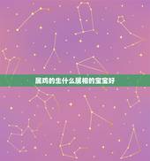 属鸡的生什么属相的宝宝好，老公属猴，我属鸡，生个什么属相的宝宝好？