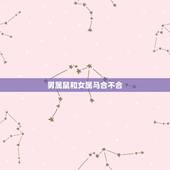 男属鼠和女属马合不合 属鼠和属马结婚案例