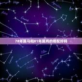 78年属马和81年属鸡的婚配好吗，81年属鸡男和78年属马女婚姻匹配吗