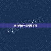 蛇和龙在一起对谁不利，龙和蛇不能生什么宝宝