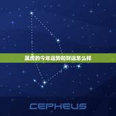 属虎的今年运势和财运怎么样，74年属虎2021年运势及运程