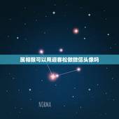 属相猴可以用迎客松做微信头像吗，用十二生肖动物做微信头像可以吗