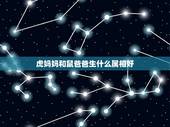 虎妈妈和鼠爸爸生什么属相好，虎妈妈和鼠爸爸生哪个属相好