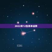 2022年12生肖羊运势，2021年羊的运势及运程