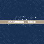 农历五月狗和农历十一月狗婚配，农历五月属狗的和六月属猪的般配指数