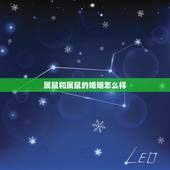 属鼠和属鼠的婚姻怎么样，属鼠和属鼠的婚姻配吗