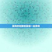 属狗的和那些属相一起挣钱，属狗的与什么属相做生意和财