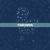 今日属马的财运，属马今日财运查询