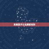 龙雏皇子公主婚配年龄，《龙雏》皇子性格是怎么样的？