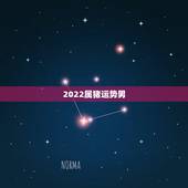 2022属猪运势男，1971年大金猪在2022年虎年运程如何？