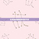 生肖鼠的婚配属虎好不好，属鼠和属虎相配吗
