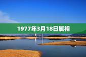 1977年3月18日属相，1977年农历三月十八日出生命运如何？