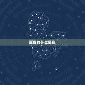 属猴的什么星座，阳历一月份是什么星座
