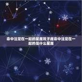 命中注定在一起的星座双子座命中注定在一起的是什么星座