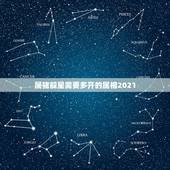 属猪躲星需要多开的属相2021，2021年什么人需要躲春