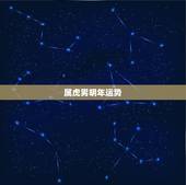 属虎男明年运势，属虎的男的佩戴什么
