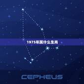 1975年属什么生肖，1975年是什么命 1975年出生是什么命_十二