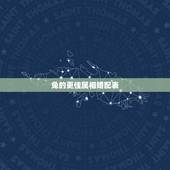 兔的更佳属相婚配表，属鸡婚配什么属相更好