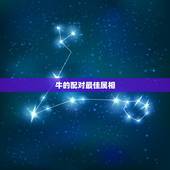 牛的配对最佳属相，属牛的和什么属相配最好呢！