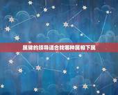 属猪的领导适合找哪种属相下属，生肖猪的下属，最怕遇到哪个生肖的上司？