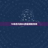 78年的马和84的鼠婚配怎样，1984年属鼠那与78年属马男的配对