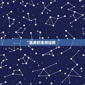 属虎的生肖运势，20丨5年十二生肖虎运势